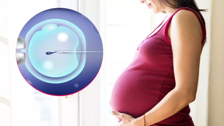IVF क्या होता है, जानें इसकी प्रक्रिया, क्या कहती है एक्सपर्ट की सलाह