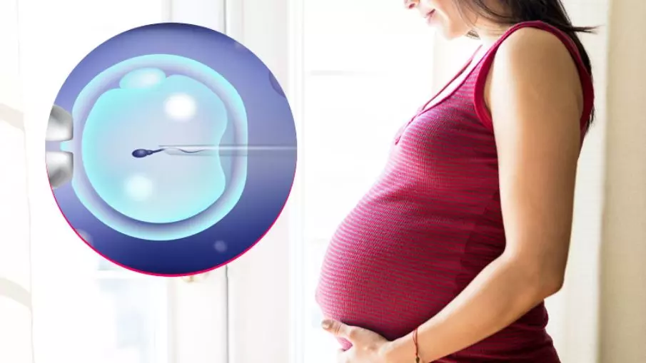 IVF क्या होता है, जानें इसकी प्रक्रिया, क्या कहती है एक्सपर्ट की सलाह